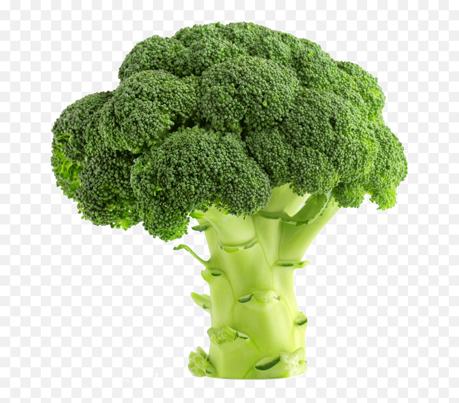 My Experience Of Going Vegetarian For The Last 5 Months Png Brocolli