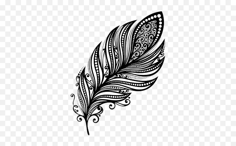 Download Feathers Feather Black Drawing Falling Free - Feather Mandala Black And White Png,Black Feathers Png