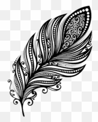 Download Feathers Black Drawing Falling Free - Mandala And White png