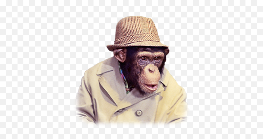 Lancelot Link Secret Chimp Monkeys Funny Monkey - Lance Link Private Detective Png,Chimp Png