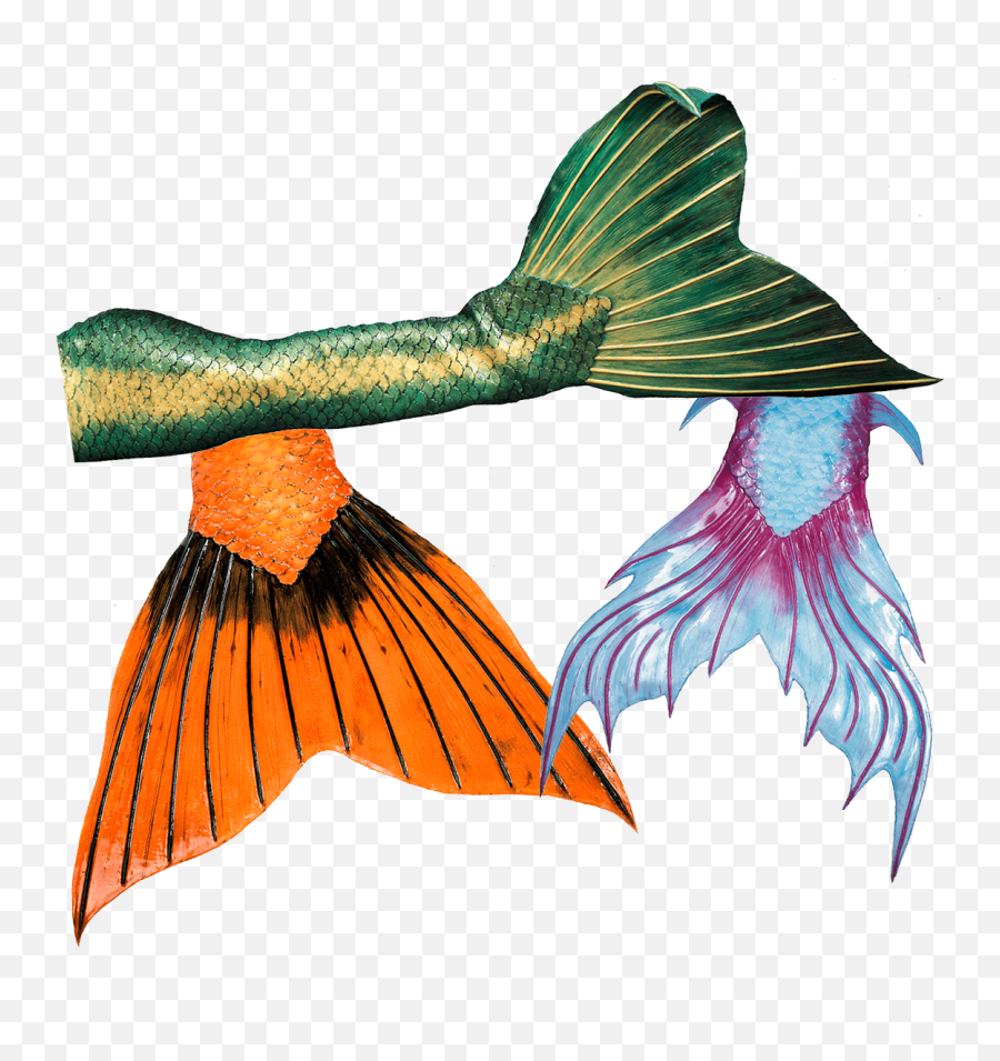 High Quality Silicone Mermaid Tails - Silicon Mermaid Tail Png,Mermaid Tails Png