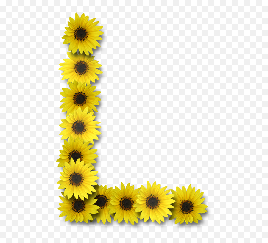Alfabeto Sunflowers - Letra L Con Girasoles Png,Sunflower Emoji Transparent