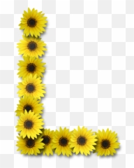 Alfabeto Sunflowers - Letra Con Girasoles png
