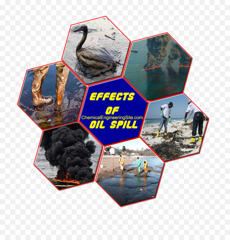 Oil Spill Gulf Of Mexico - Oil Spill Gulf Of Mexico Png,Spill Png