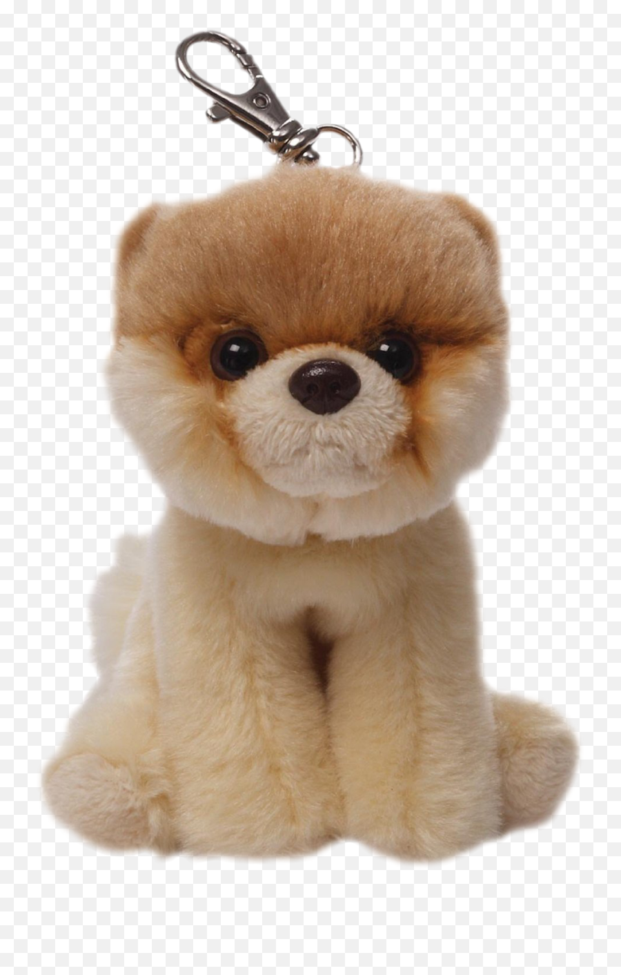 Download Boo Dog Png Image - Free Transparent Png Images Peluche Pomeranian Boo,Boo Png