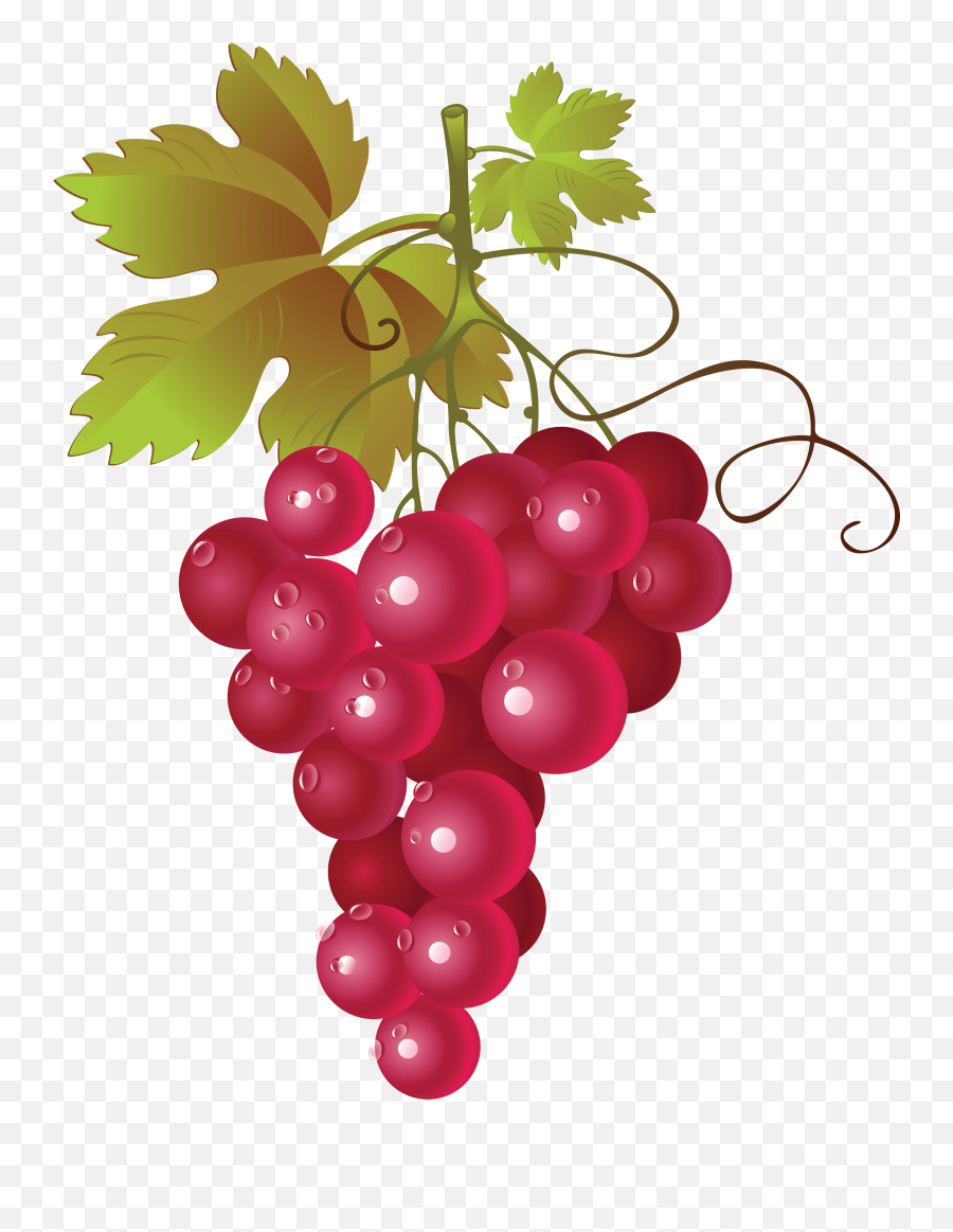 Red Grape Vector Png Transparent - Red Grapes Clipart,Grapes Transparent Background
