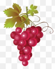Red Grape Vector Png Transparent - Grapes Clipart