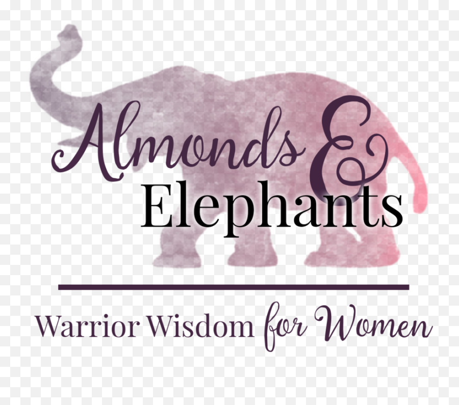 Almonds U0026 Elephants - Book Night By Elie Wiesel Png,Elephant Transparent Background