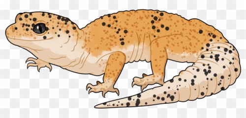 We Canu0027t Have These Bad Boys In Australia - Gila Monster Animal Figure Png,Leopard Gecko Png