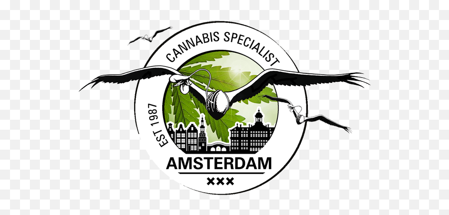 Dutch Passion Cannabis Seed Bank Since 1987 - Cannabis Leaf Png,Weed Png