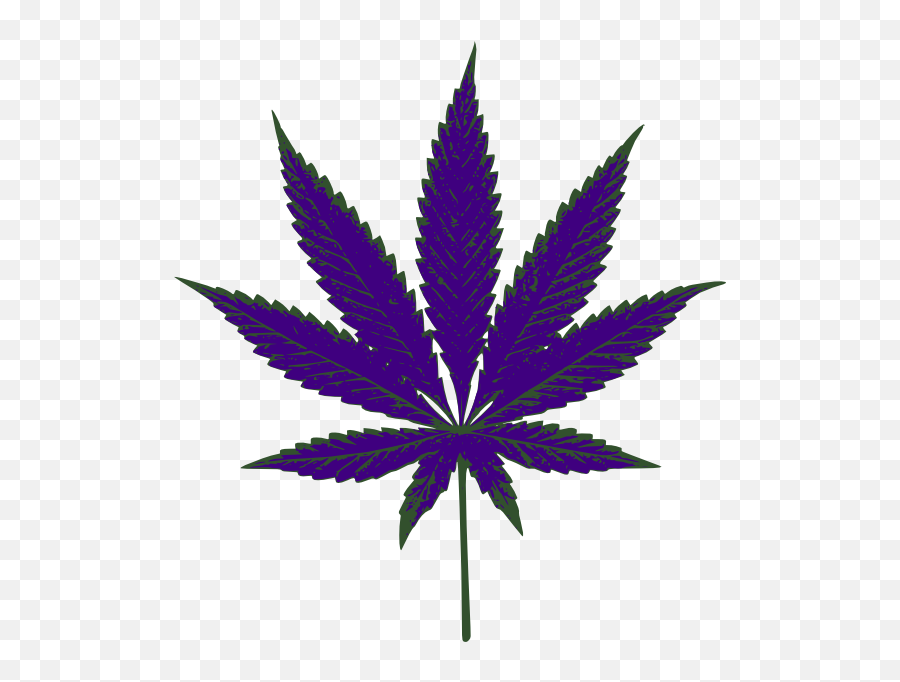 Purple Weed Icon Clip Art - Vector Clip Art Marijuana Plant Leaf Png,Leafs Icon
