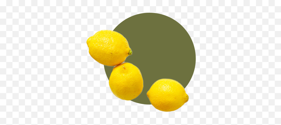 Leaf And Ginger - Leaf And Ginger Meyer Lemon Png,Ginger Icon