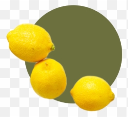 Leaf And Ginger - Meyer Lemon png