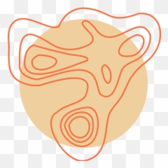 Biomeridian Organ Scan - Integrative Naturopathic Dot Png,Def Jam Fight Icon 2