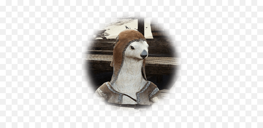 Big Fortune Teller Mushroom - Bdo Codex Llama Png,Fortune Teller Icon