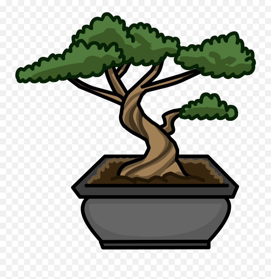 Bonsai Tree - Bonsai Tree Clipart Png,Bonsai Tree Png