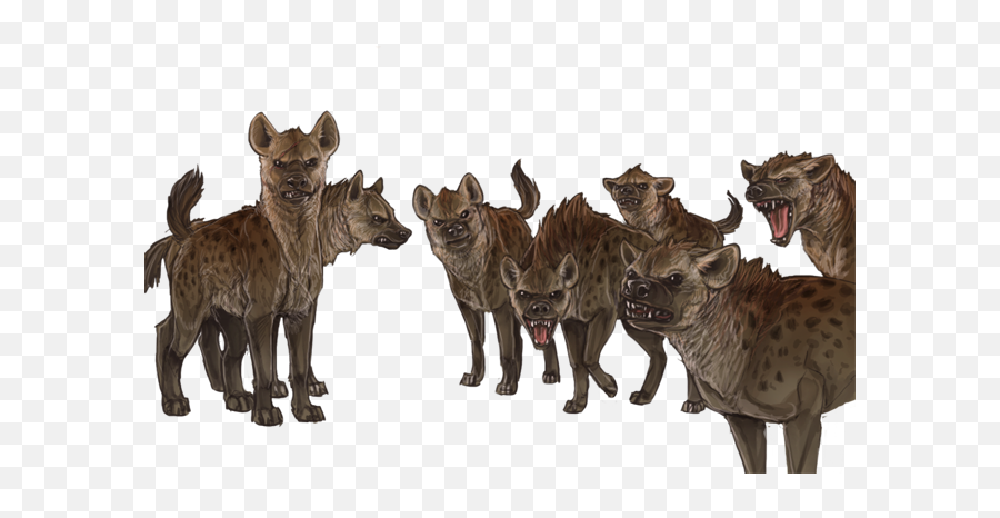 Lioden - Lioden Hyenas Png,Hyena Png