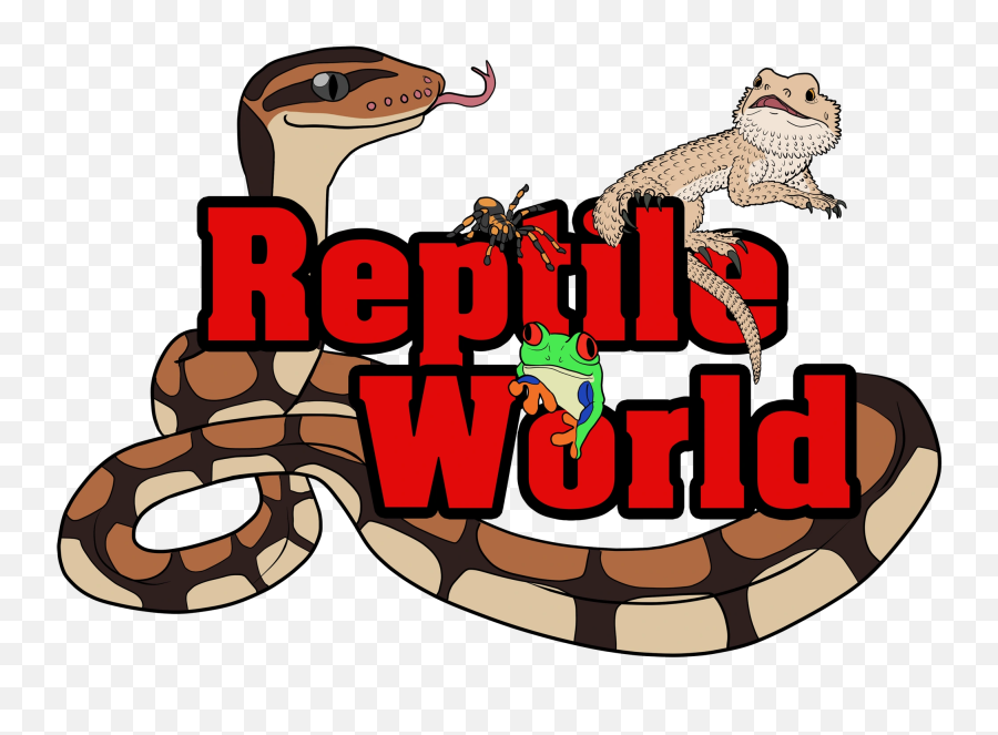 Reptile World Uk - Education Reptiles Entertainer Cartoon Png,Reptiles Png