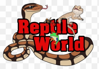 Reptile World Uk - Education Reptiles Entertainer Cartoon Png,Reptiles Png