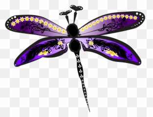 Dragonfly Vector Illustration - Bonnie Vaccaro Designs Dragonfly Png,Dragonfly Png