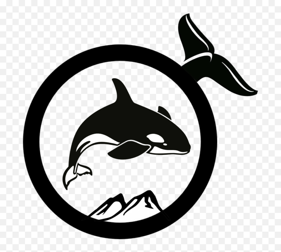 Pin Orca Clipart Black And White - Orca Png Download Orca,Orca Png