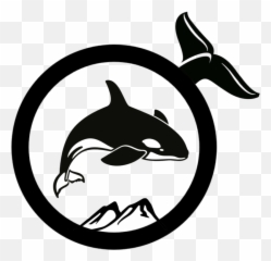 Pin Orca Clipart Black And White - Orca Png Download Orca,Orca Png