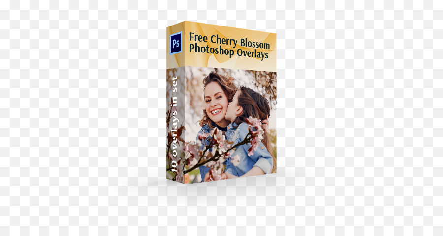 Cherry Blossom Png Overlays - Book Cover,Png Overlays
