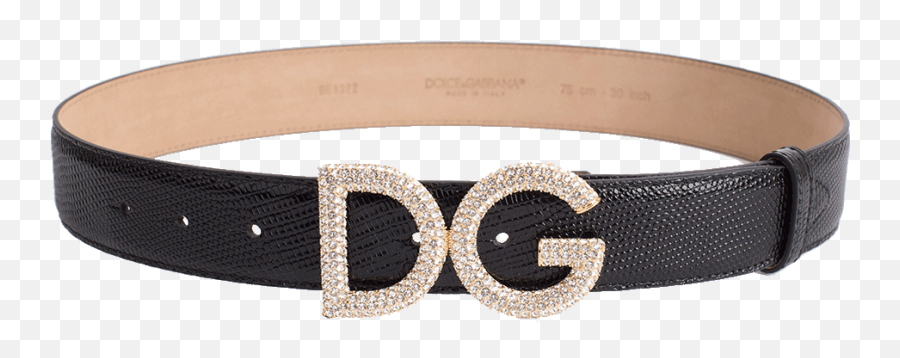 Iguana Dg Crystal Logo Belt Png Dolce And Gabbana