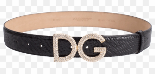 Iguana Dg Crystal Logo Belt Png Dolce And Gabbana