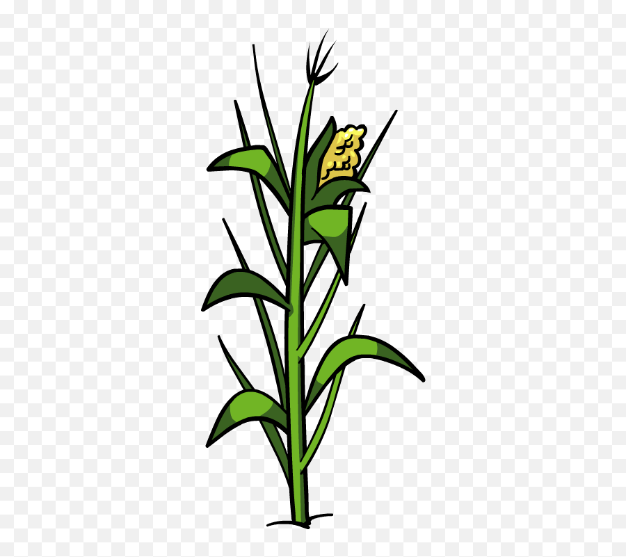 Clipart Png Download Free Clip Art - Transparent Corn Plant Png,Plant Clipart Png