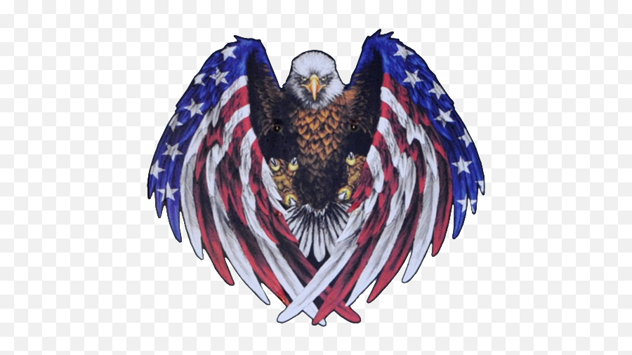 Made In The Usa - A Veteran Owned Company American Flag Colored Eagle Png,Made In Usa Png