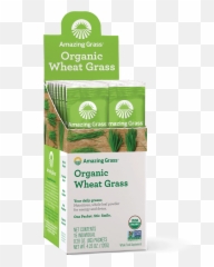 Dry Grass Png - Wheatgrass,Dry Grass Png