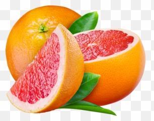 Grapefruit Png Image For Free Download - Grapefruit Png,Grapefruit Png