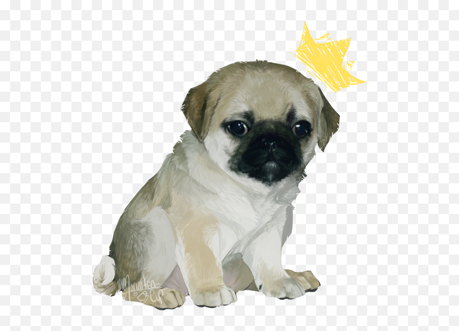 Pug Png Picture - Pug,Pug Png