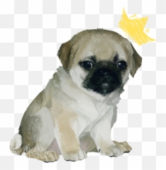 Pug Png Picture - Pug,Pug Png