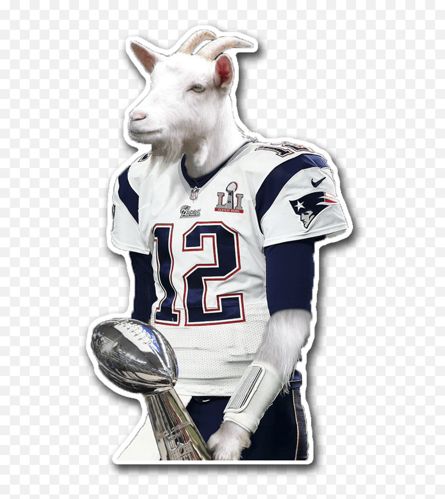 Tom Brady Goat - Tom Brady The Goat Png,Tom Brady Png