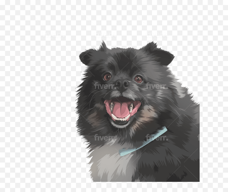Do Vector Portraits Of Your Pets - Dog Catches Something Png,Pets Png