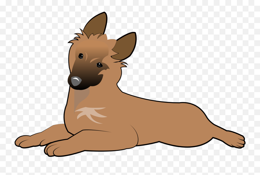 Belgian Shepherd Tervuren Puppy - Belgian Tervuren Puppy Drawing Png,Puppy Png