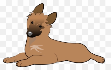 Belgian Shepherd Tervuren Puppy - Belgian Tervuren Puppy Drawing Png,Puppy Png