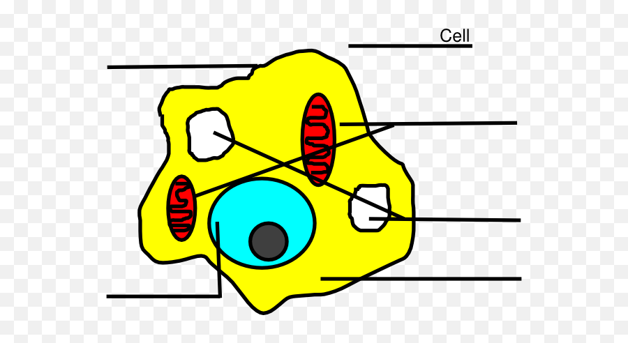 Free Animal Cell Png Download Clip Art - Animal Cell Easy Drawing,Cell Png