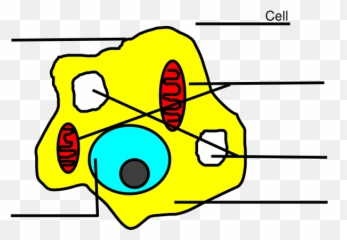 Free Animal Cell Png Download Clip Art - Animal Cell Easy Drawing,Cell Png