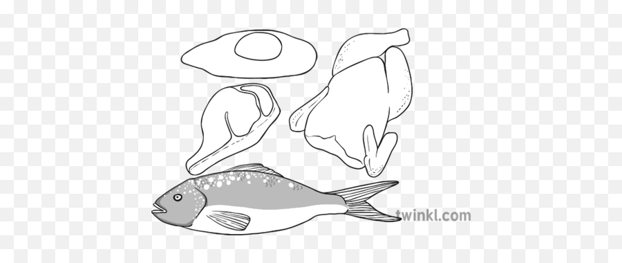 Protein Black And White 1 Illustration - Twinkl Fish Png,Protein Png