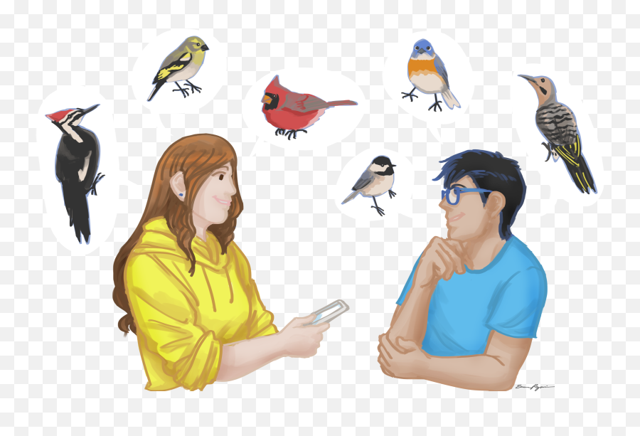 Background - Woodpecker Transparent Cartoon Jingfm Png,Woodpecker Png