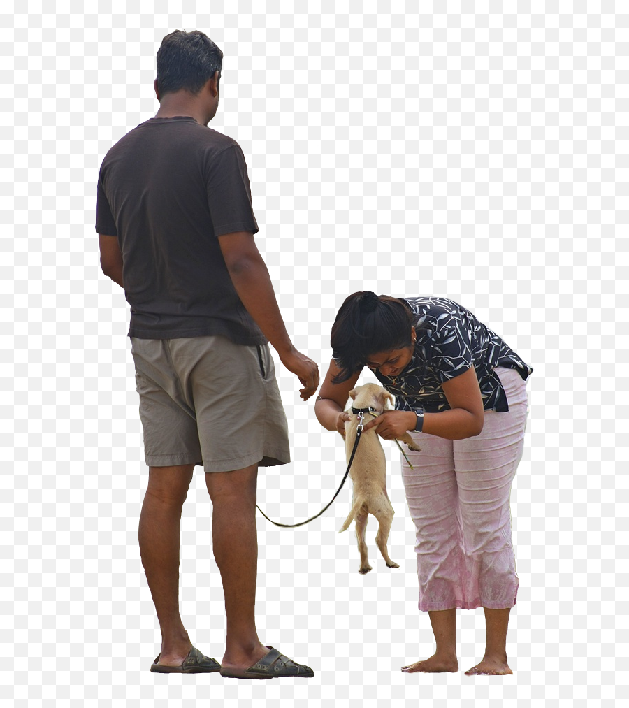 Download Hd The Gallery For People - Walking Family With Dog Png,People Walking Dog Png