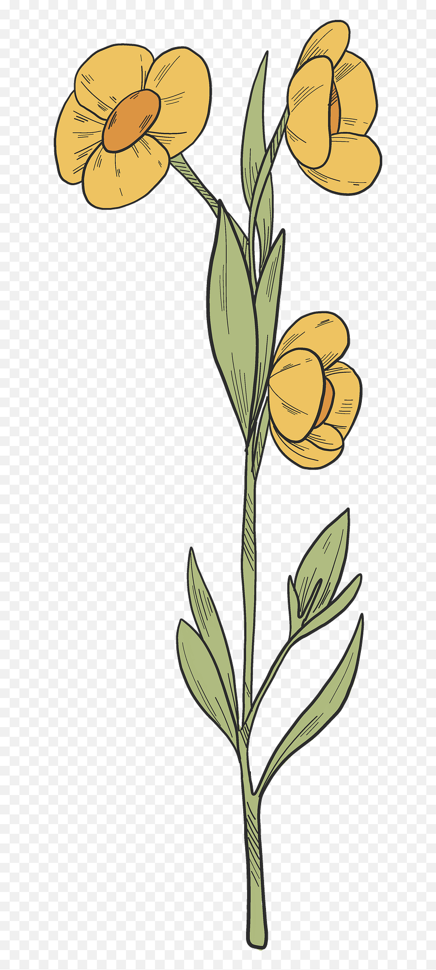 Wildflowers Clipart Free Download Transparent Png Creazilla - Fresh,Wildflowers Png