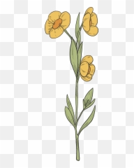 Wildflowers Clipart Free Download Transparent Png Creazilla - Fresh,Wildflowers Png