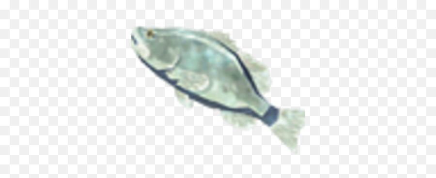 Frozen Bass - Fish Products Png,Bass Fish Icon