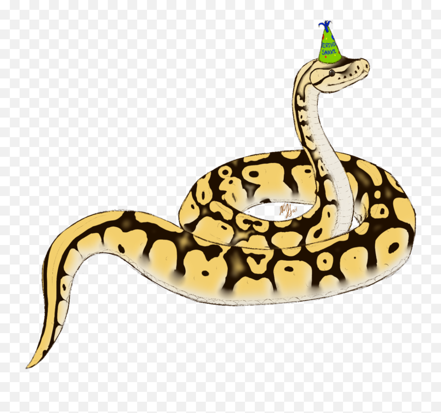 Download Snake Png Clipart - Boa Constrictor Drawing,Snake Clipart Png