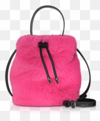 Carine Roitfeld In Honor Of - Karl X Buck Bag png