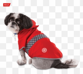 Good2go Reversible Dog Raincoat Red Extra Small Petco - Good2go In png
